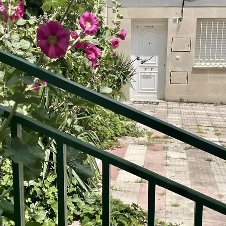 Céntrico Y Acogedor En